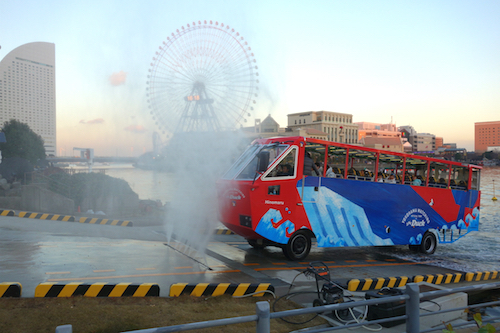 DSC03467.jpg