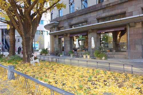 DSC06260.jpg
